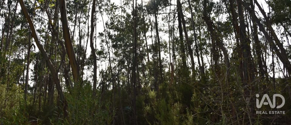 Terreno rústico em Sabacheira de 5 400 m²