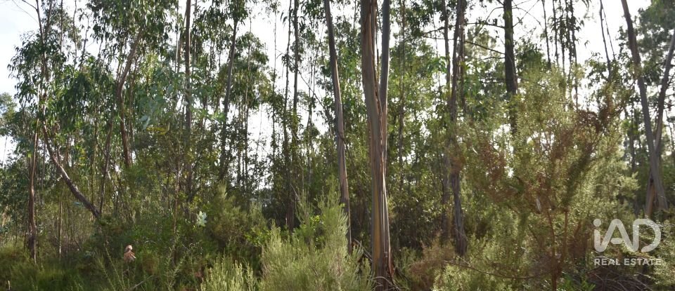 Terreno rústico em Sabacheira de 5 400 m²