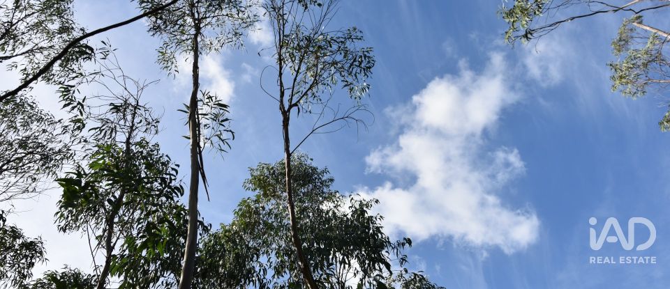 Terreno rústico em Sabacheira de 5 400 m²