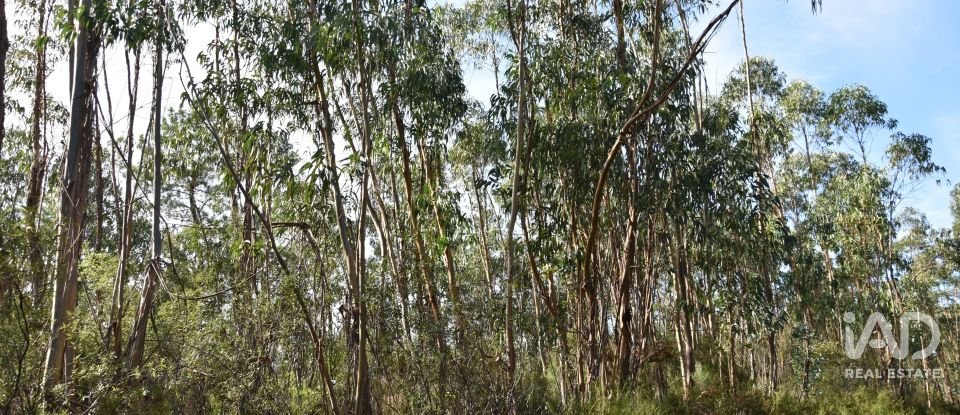 Terreno rústico em Sabacheira de 5 400 m²