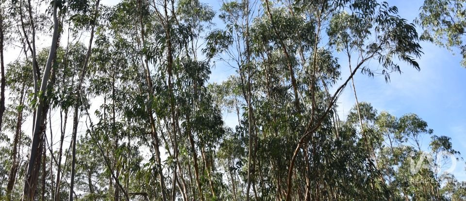 Terreno rústico em Sabacheira de 5 400 m²