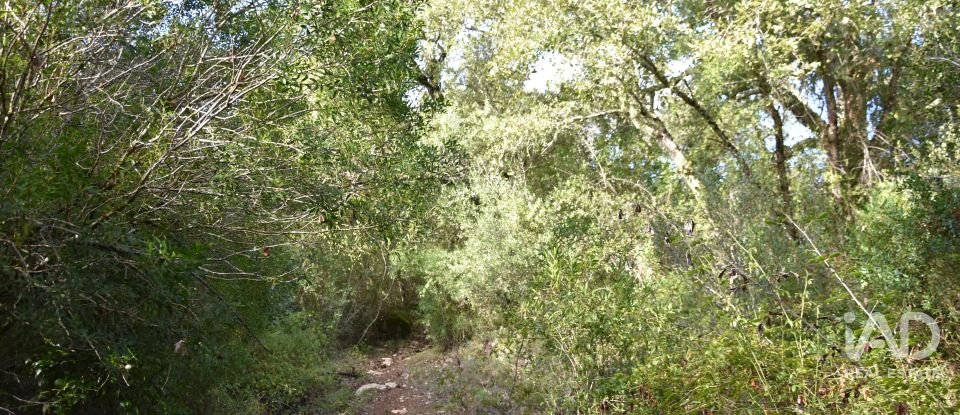 Terreno rústico em Sabacheira de 5 400 m²