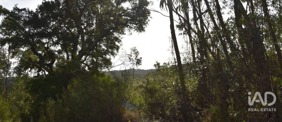Terreno rústico em Sabacheira de 5 400 m²