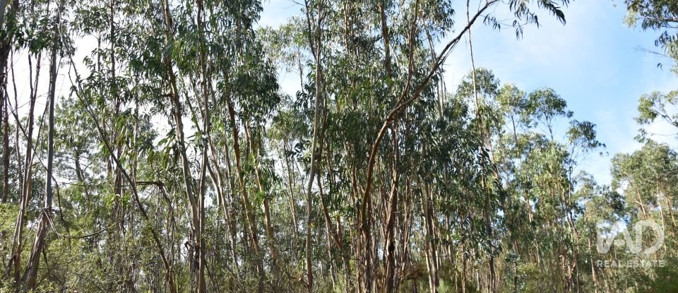 Terreno rústico em Sabacheira de 5 400 m²