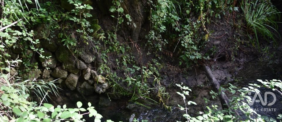 Terreno rústico em Sabacheira de 5 400 m²