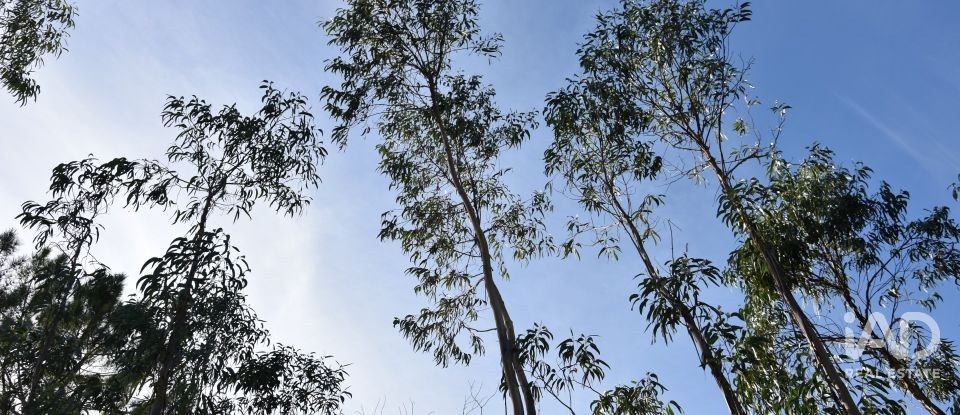 Terreno rústico em Sabacheira de 5 400 m²