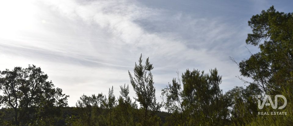 Terreno rústico em Sabacheira de 5 400 m²