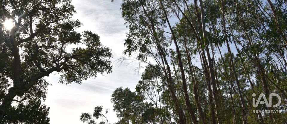 Terreno rústico em Sabacheira de 5 400 m²