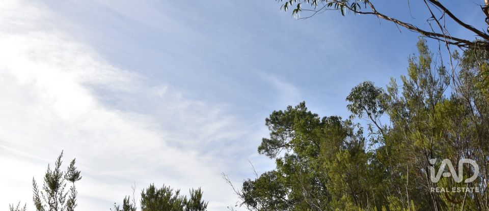 Terreno rústico em Sabacheira de 5 400 m²