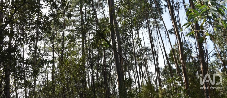 Terreno rústico em Sabacheira de 5 400 m²