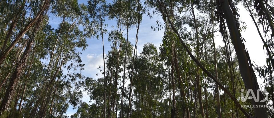 Terreno rústico em Sabacheira de 5 400 m²
