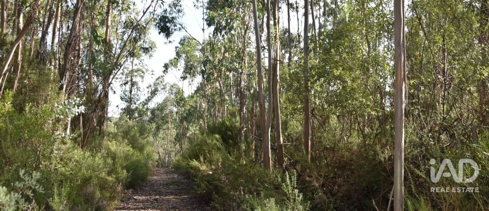 Terreno rústico em Sabacheira de 5 400 m²