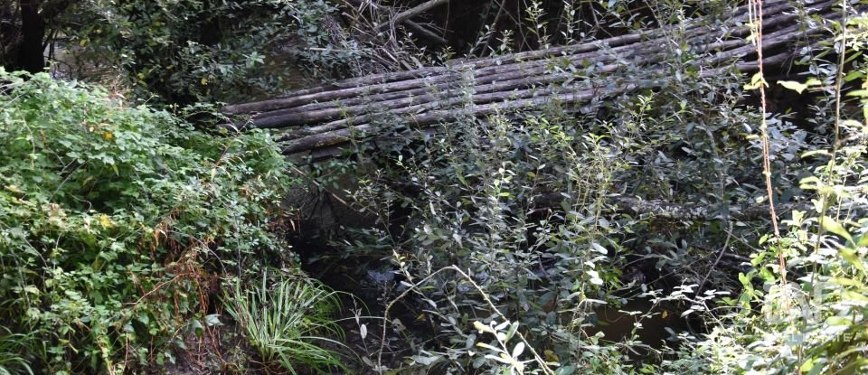 Terreno rústico em Sabacheira de 5 400 m²