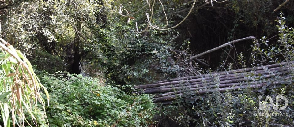 Terreno rústico em Sabacheira de 5 400 m²