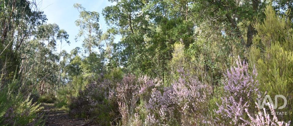 Terreno rústico em Sabacheira de 5 400 m²