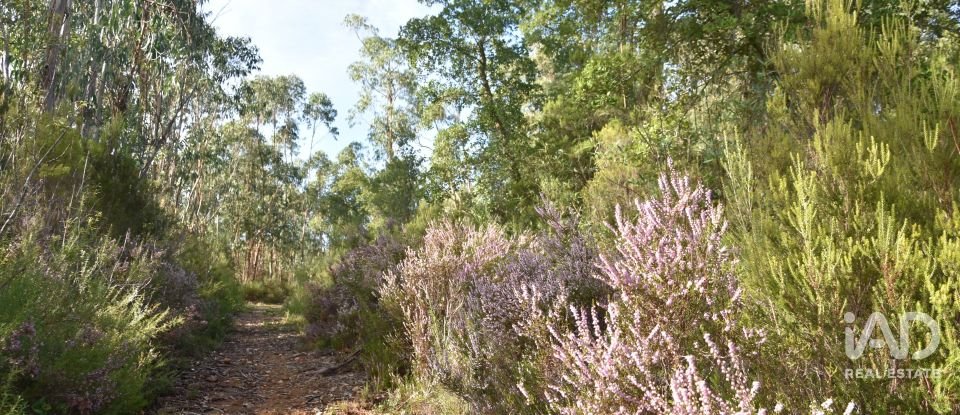 Terreno rústico em Sabacheira de 5 400 m²