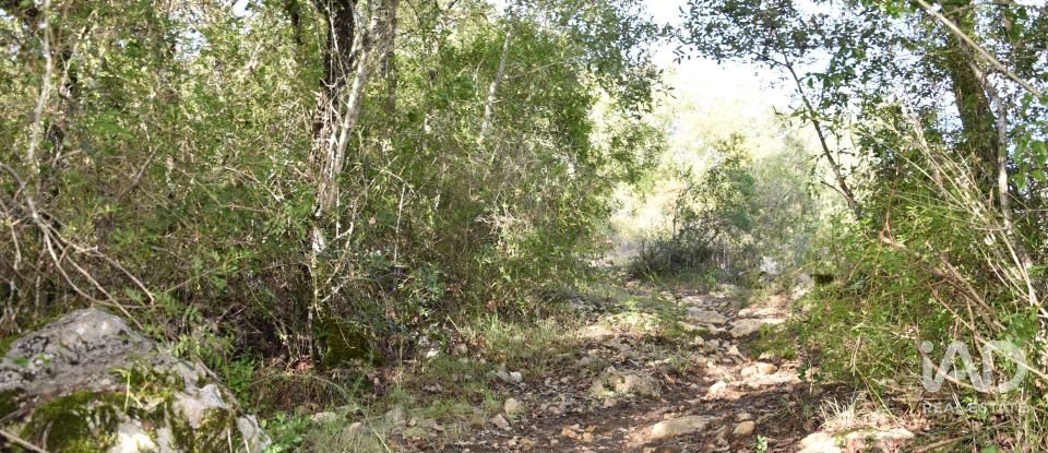 Terreno rústico em Sabacheira de 5 400 m²
