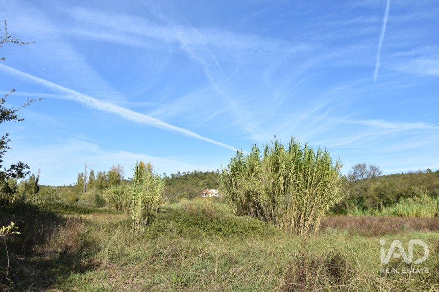 Terreno rústico em Freixianda, Ribeira do Fárrio e Formigais de 3 100 m²