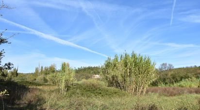 Terrain agricole à Freixianda, Ribeira do Fárrio e Formigais de 3 100 m²