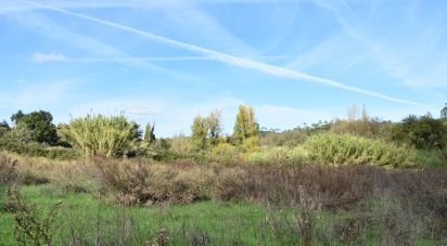 Terrain agricole à Freixianda, Ribeira do Fárrio e Formigais de 3 100 m²