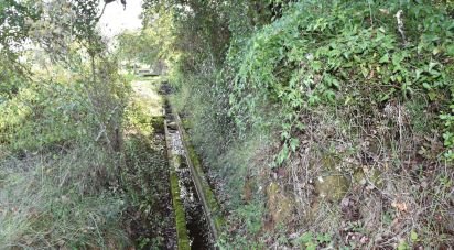 Terrain agricole à Freixianda, Ribeira do Fárrio e Formigais de 3 100 m²