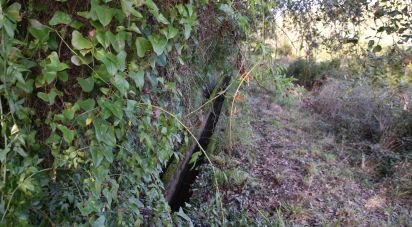 Terrain agricole à Freixianda, Ribeira do Fárrio e Formigais de 3 100 m²