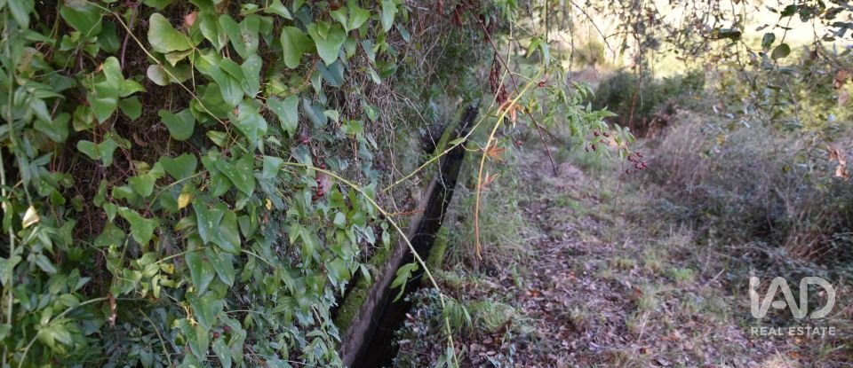 Terreno rústico em Freixianda, Ribeira do Fárrio e Formigais de 3 100 m²