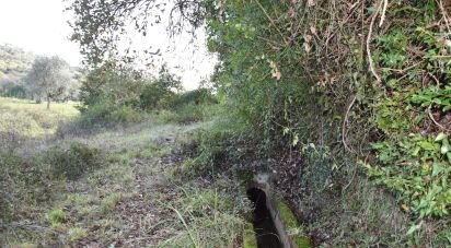 Terrain agricole à Freixianda, Ribeira do Fárrio e Formigais de 3 100 m²