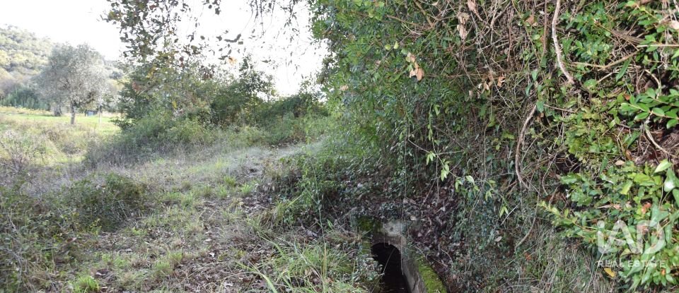 Terreno rústico em Freixianda, Ribeira do Fárrio e Formigais de 3 100 m²