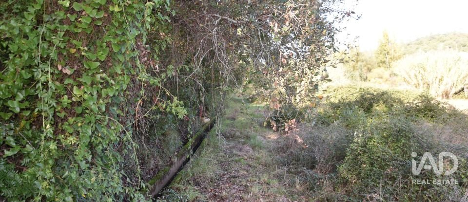 Terreno rústico em Freixianda, Ribeira do Fárrio e Formigais de 3 100 m²