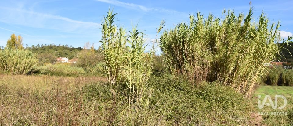 Terreno rústico em Freixianda, Ribeira do Fárrio e Formigais de 3 100 m²