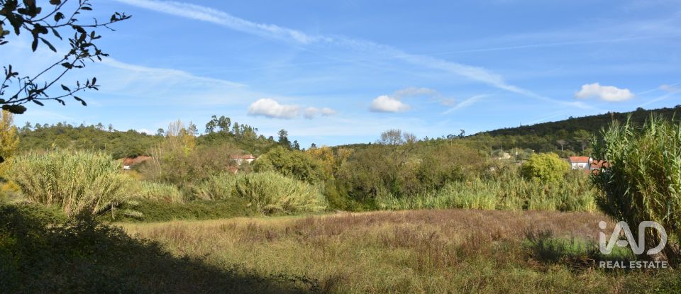 Terreno rústico em Freixianda, Ribeira do Fárrio e Formigais de 3 100 m²