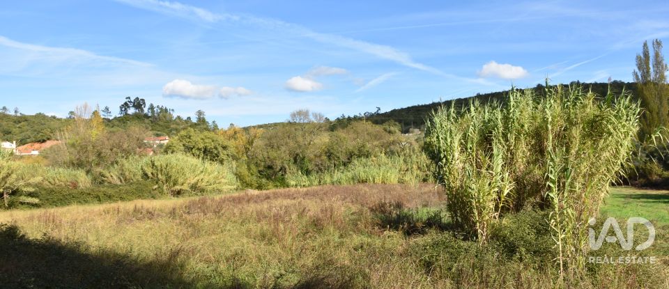 Terreno rústico em Freixianda, Ribeira do Fárrio e Formigais de 3 100 m²
