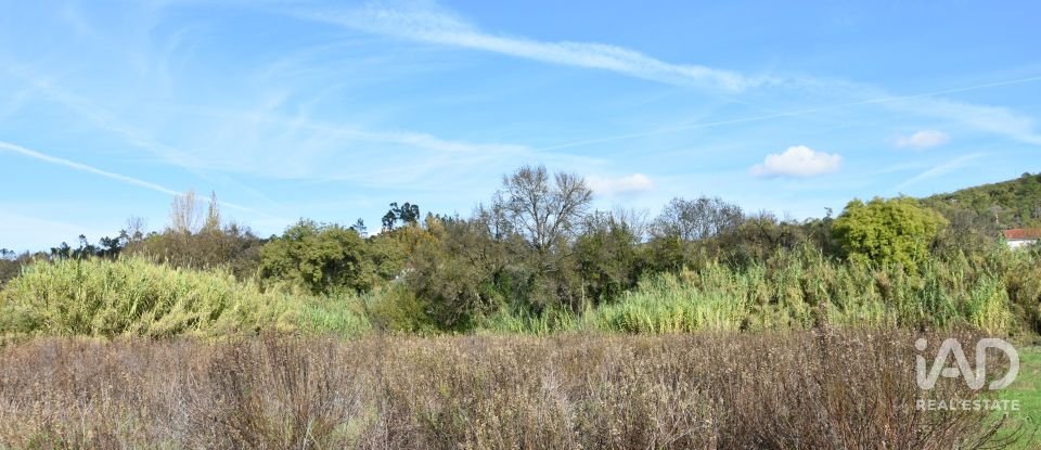 Terreno rústico em Freixianda, Ribeira do Fárrio e Formigais de 3 100 m²