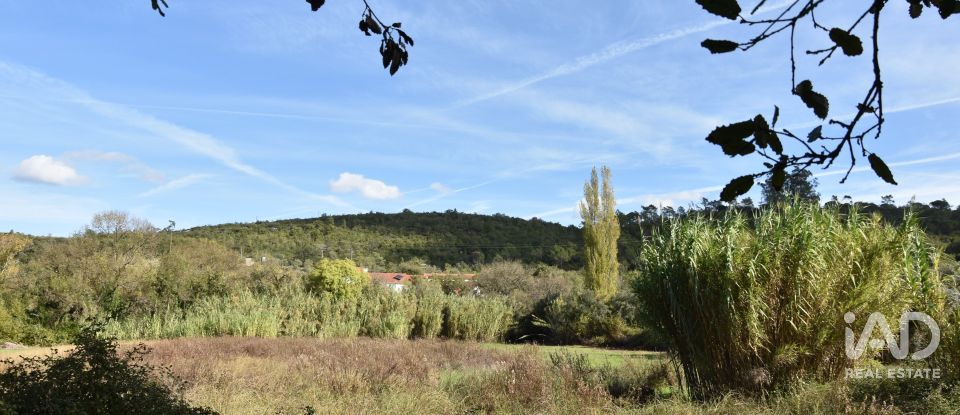 Terreno rústico em Freixianda, Ribeira do Fárrio e Formigais de 3 100 m²
