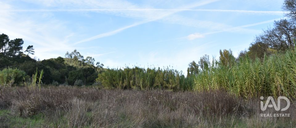 Terreno rústico em Freixianda, Ribeira do Fárrio e Formigais de 3 100 m²