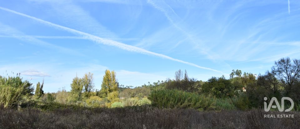 Terreno rústico em Freixianda, Ribeira do Fárrio e Formigais de 3 100 m²