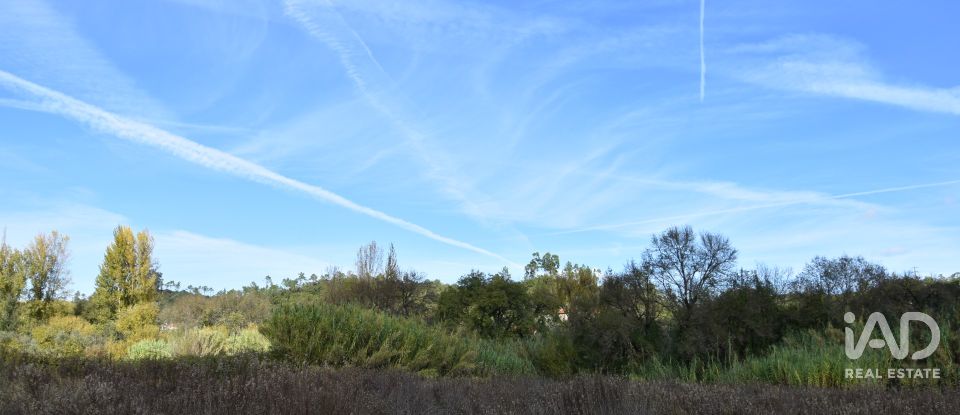 Terreno rústico em Freixianda, Ribeira do Fárrio e Formigais de 3 100 m²