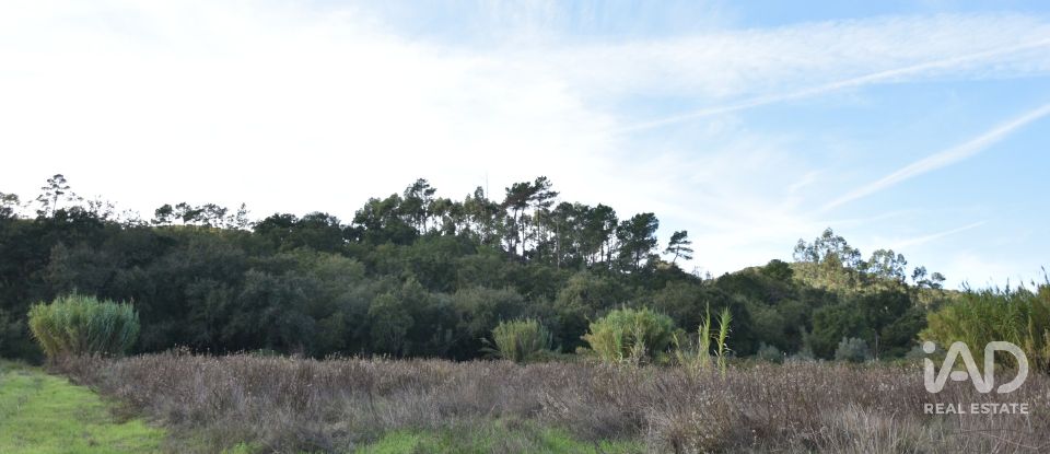Terreno rústico em Freixianda, Ribeira do Fárrio e Formigais de 3 100 m²