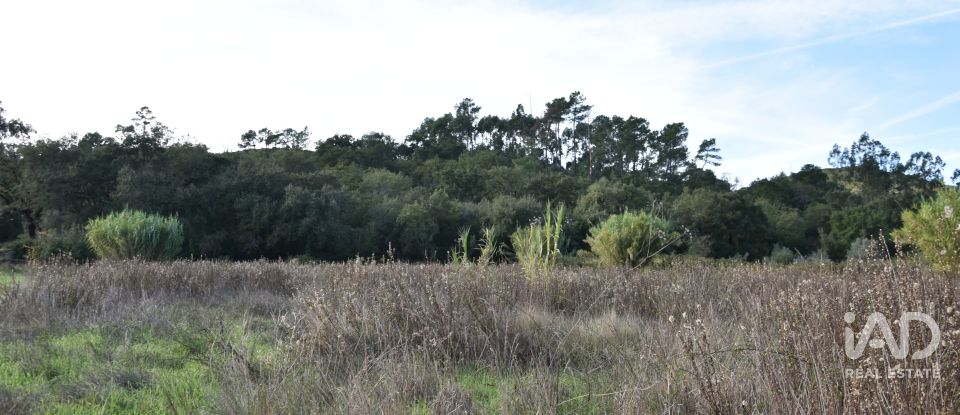 Terreno rústico em Freixianda, Ribeira do Fárrio e Formigais de 3 100 m²
