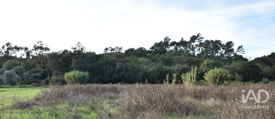 Terreno rústico em Freixianda, Ribeira do Fárrio e Formigais de 3 100 m²