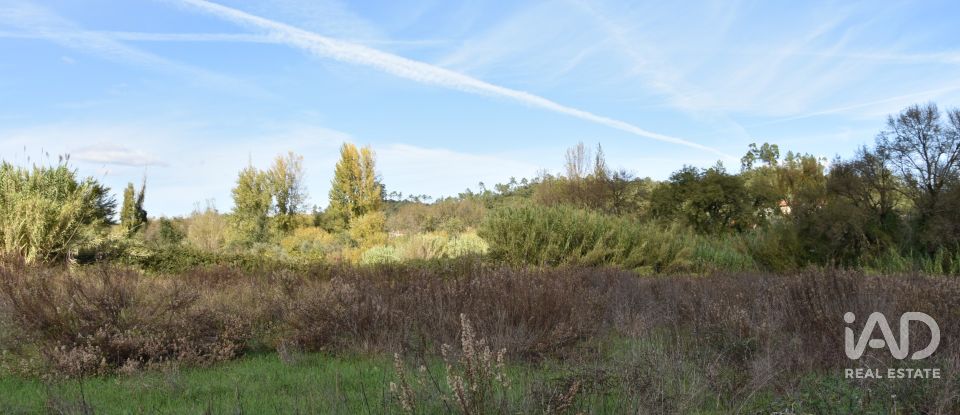 Terreno rústico em Freixianda, Ribeira do Fárrio e Formigais de 3 100 m²
