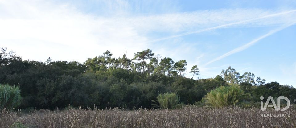 Terreno rústico em Freixianda, Ribeira do Fárrio e Formigais de 3 100 m²