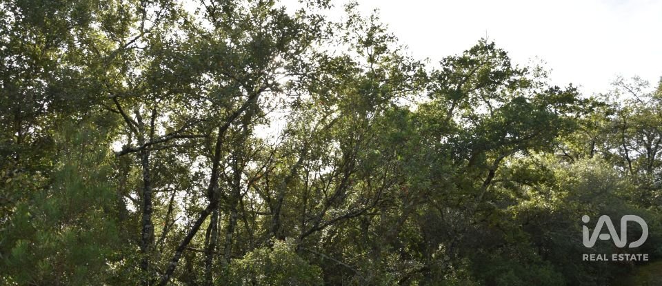Terreno rústico em Freixianda, Ribeira do Fárrio e Formigais de 3 100 m²