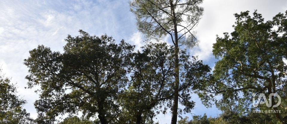 Terreno rústico em Freixianda, Ribeira do Fárrio e Formigais de 3 100 m²