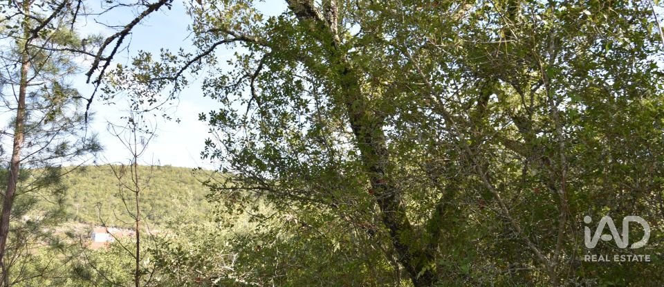 Terreno rústico em Freixianda, Ribeira do Fárrio e Formigais de 3 100 m²