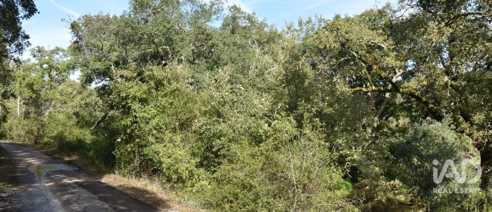 Terreno rústico em Freixianda, Ribeira do Fárrio e Formigais de 3 100 m²