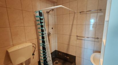 Maison T1 à Ribeiras de 85 m²