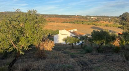 Domaine T2 à Selmes de 150 m²