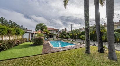 Maison T3 à Rio Meão de 420 m²